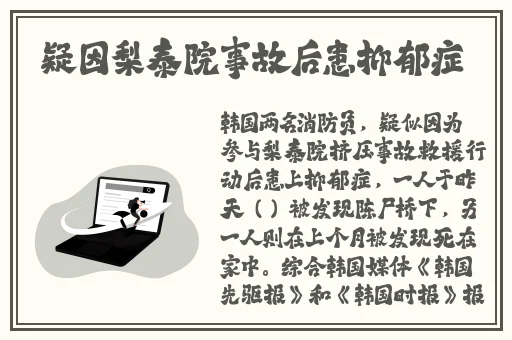 v8成品人视频